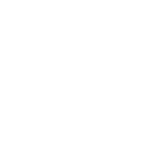 lifewise-of-washington.png