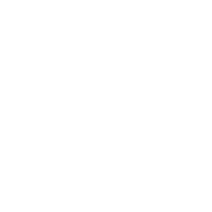 wellpoint.png